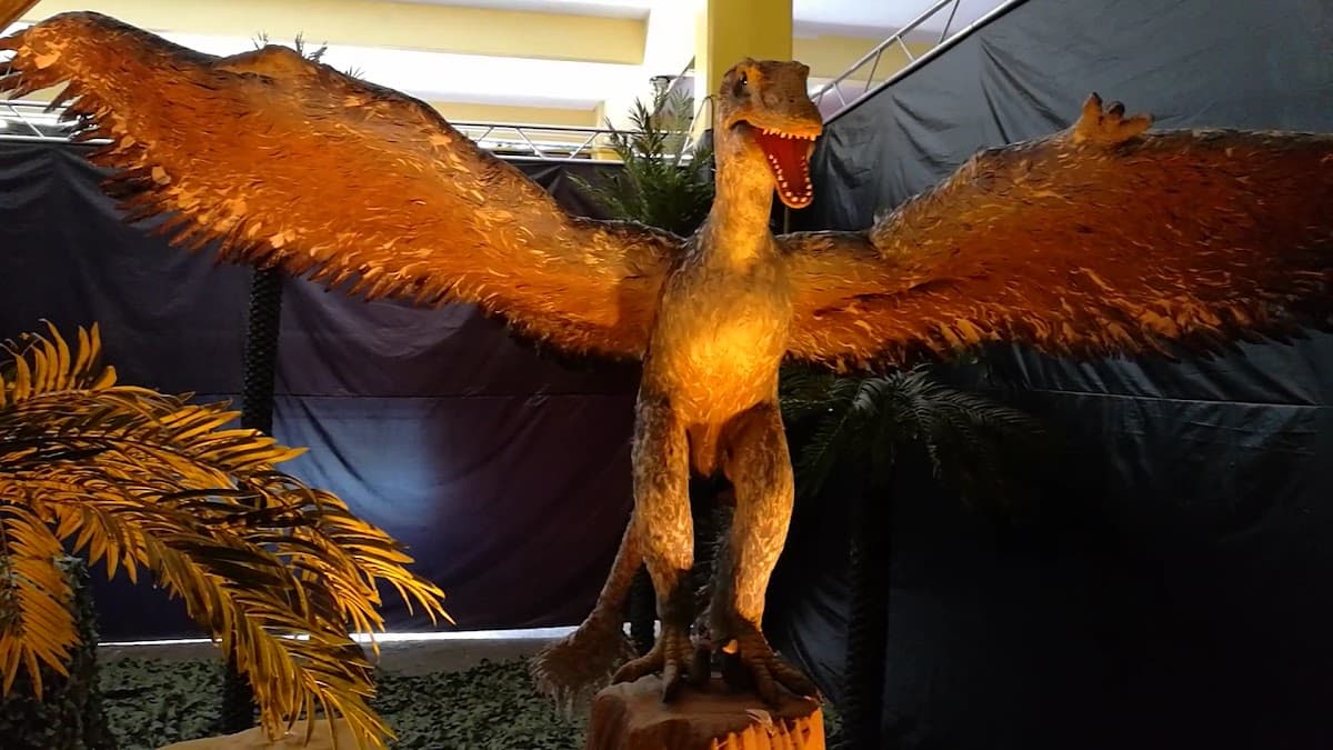Colegio Don Bosco — foto