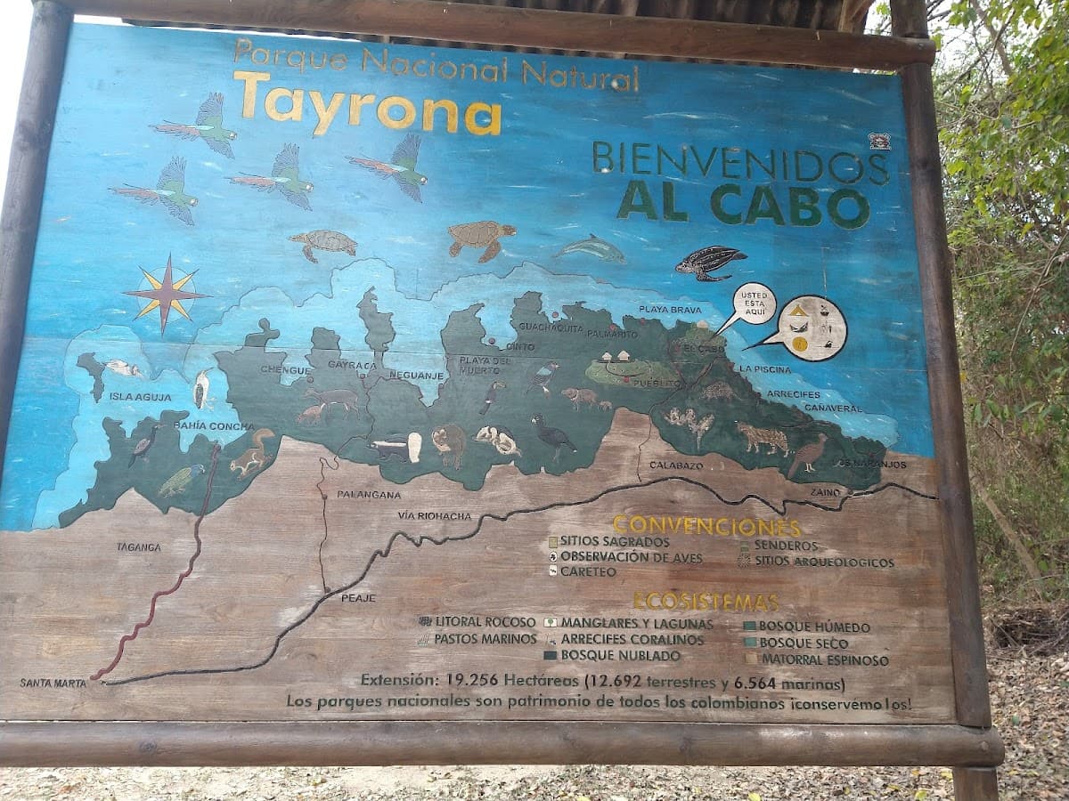 Parque 11 De Noviembre — foto