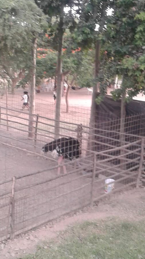 Paseo Diego Ferre