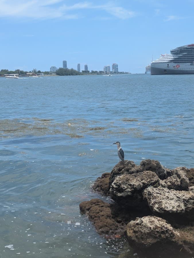 Parque Maurice A. Ferré — foto