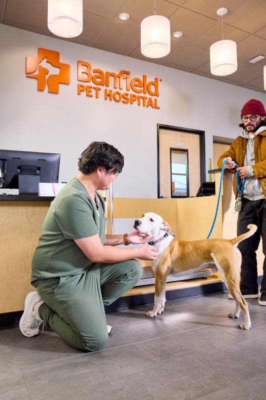 Banfield Pet Hospital — foto