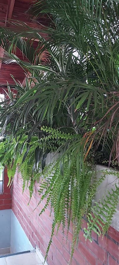 Hostal Pura Vida La 70 — foto