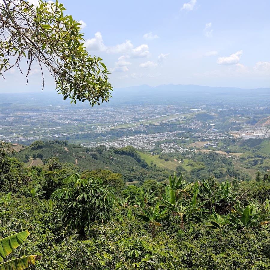 La Terraza