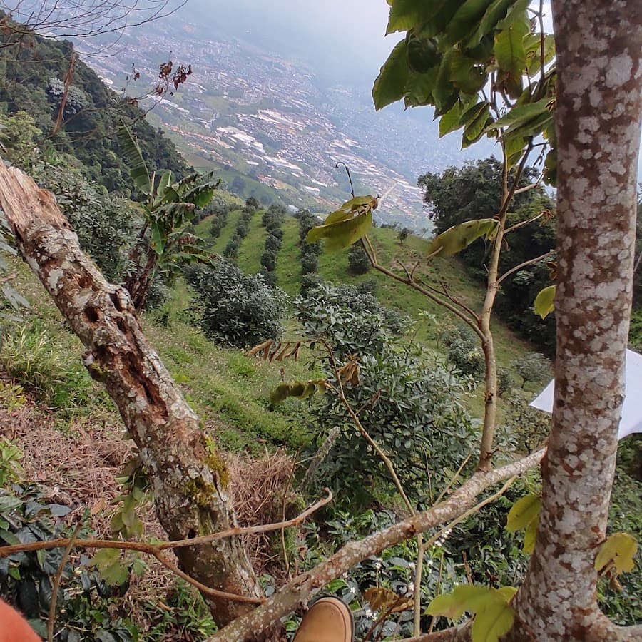La Terraza — foto