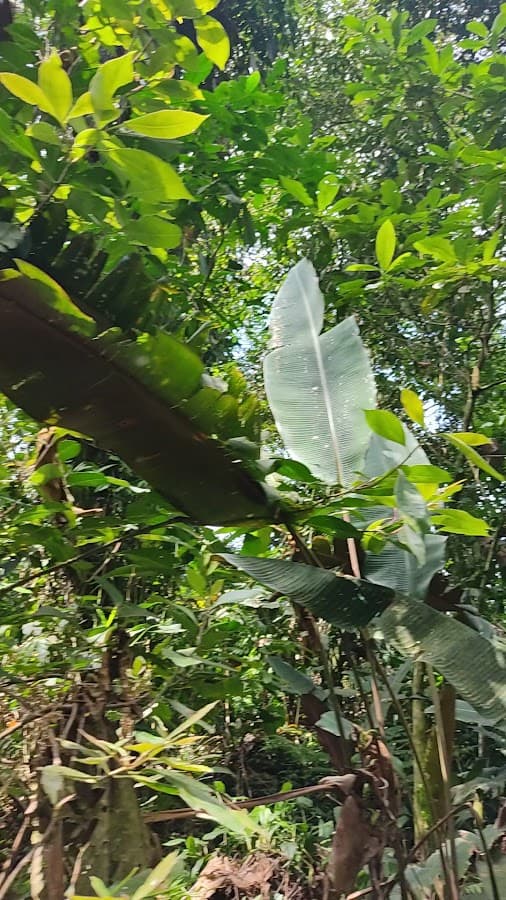 La Terraza — foto