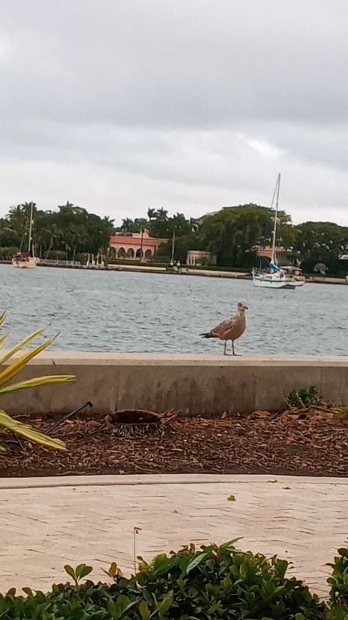 WPB Waterfront Landing — foto
