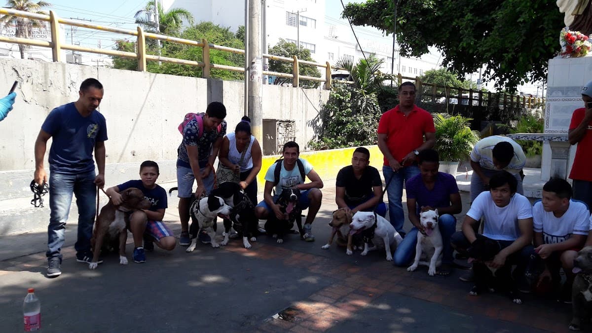 PARQUE INFANTIL BLAS DE LEZO — foto