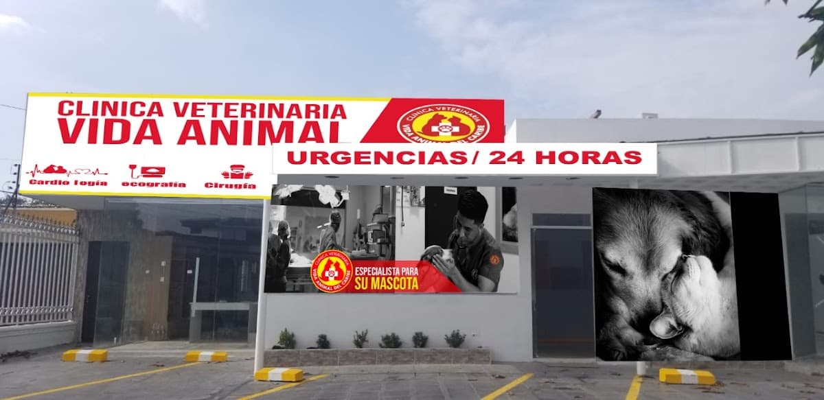 Clínica Veterinaria Vida Animal S.A.S. — foto