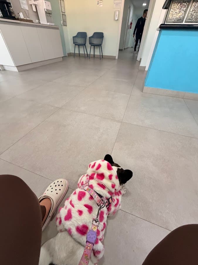 HVD - Hospital Veterinário Darabas - Florianópolis — foto