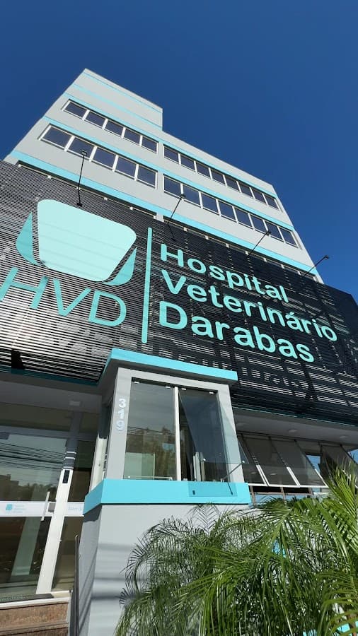 HVD - Hospital Veterinário Darabas - Florianópolis — foto