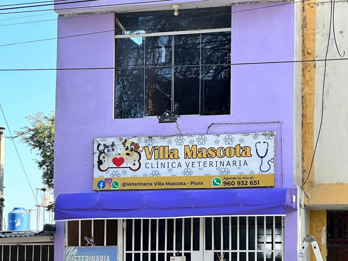 Centro Veterinario SuVet — foto