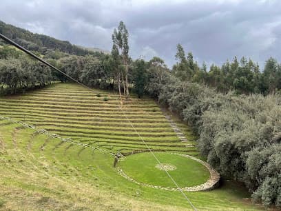 Bosque Dorado