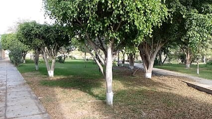 Parque 2 De Mayo