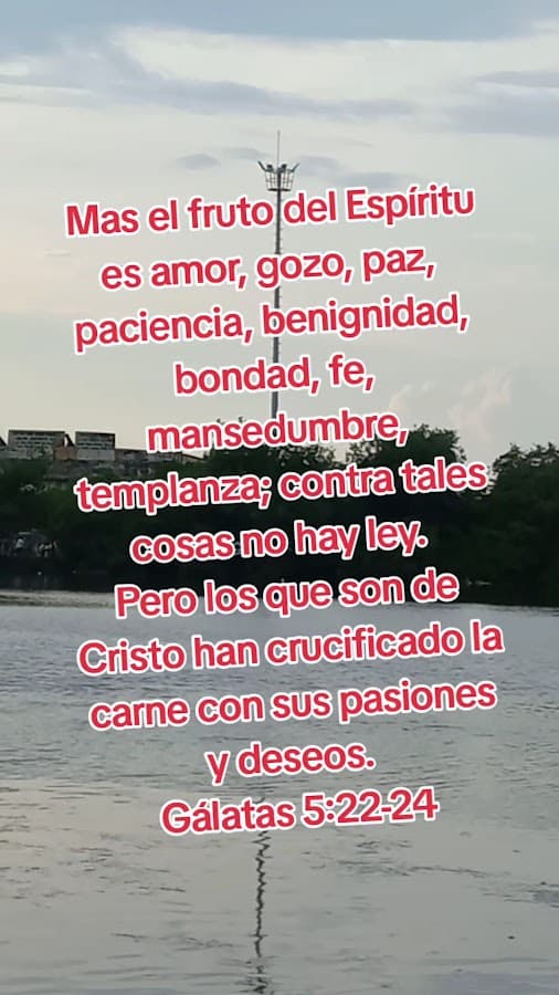 Parque Espíritu Del Manglar (Rafael Vergara Navarro) — foto