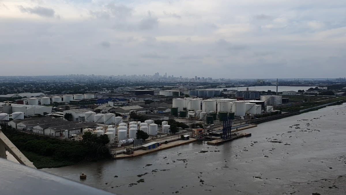 Puente Atirantado Pumarejo — foto