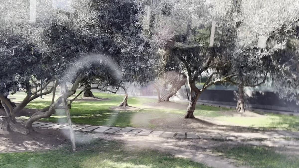 Parque El Olivar — foto