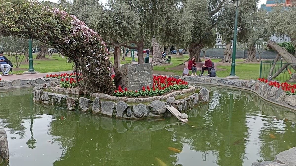 Parque El Olivar — foto