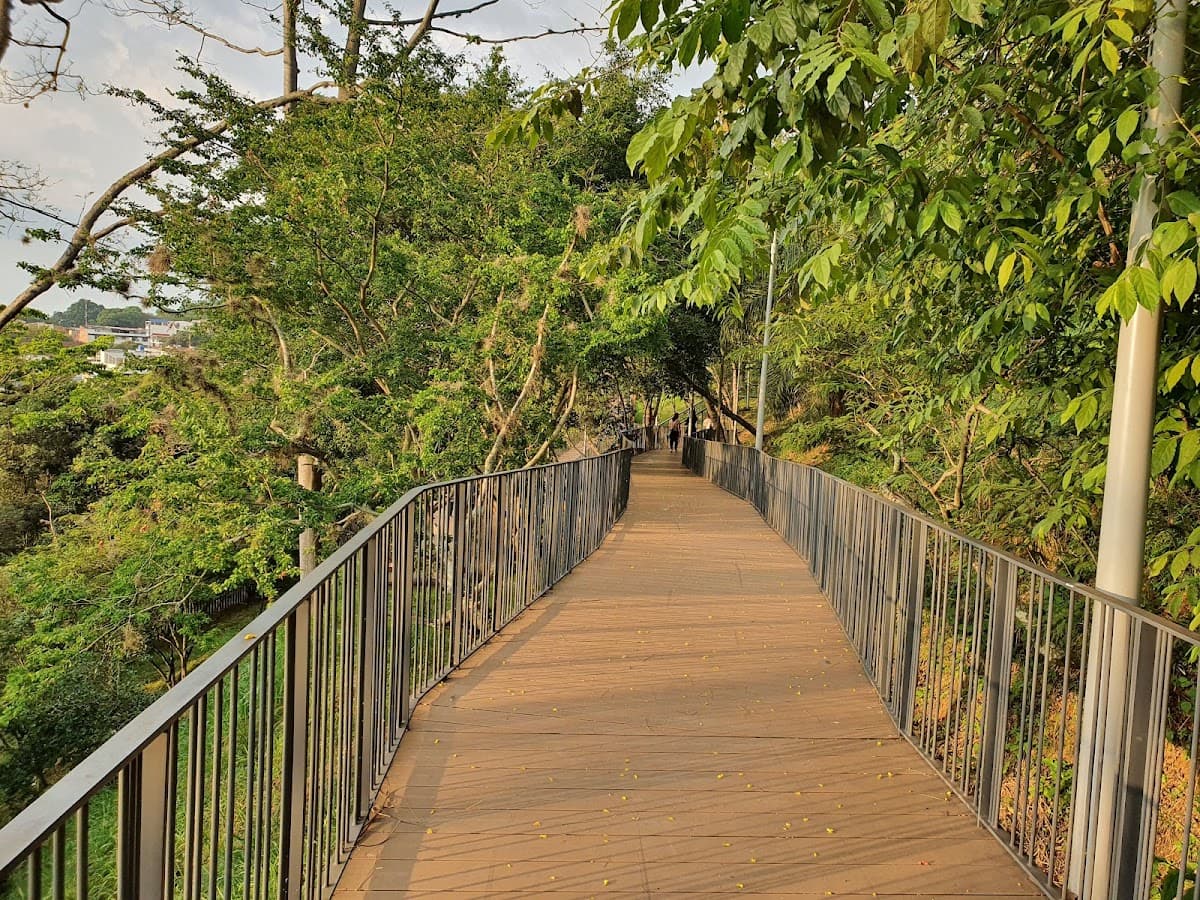 Parque Metropolitano Bosque Encantado — foto