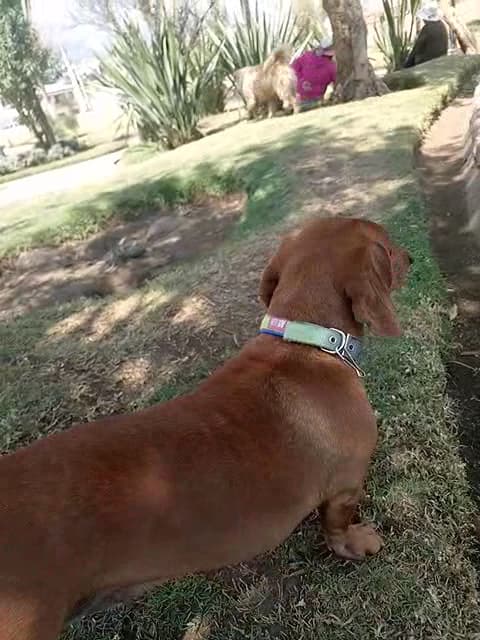 Parque Tupac Amaru — foto