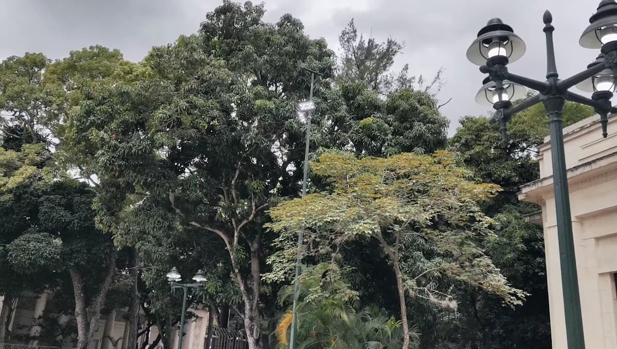 Plaza de Los Museos — foto