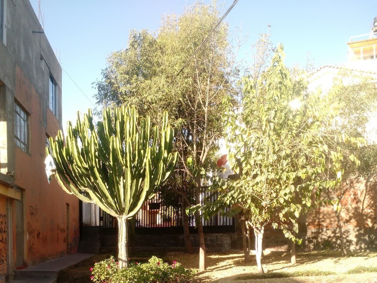 Parque Miguel de Cervantes Saavedra — foto
