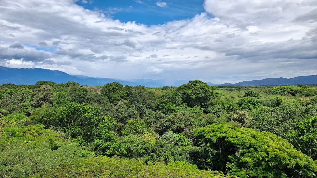 Mirador Torre del Mohan en Neiva — foto