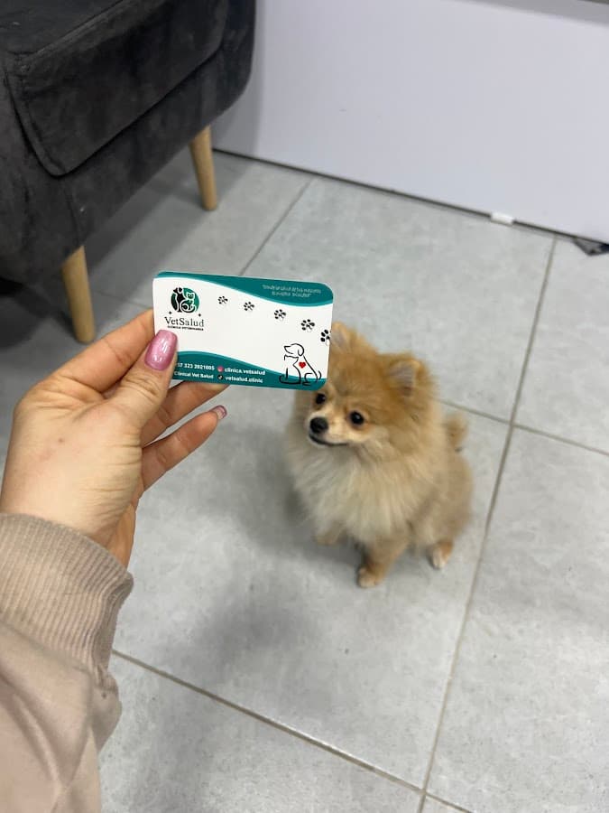 Vet salud clínica veterinaria — foto