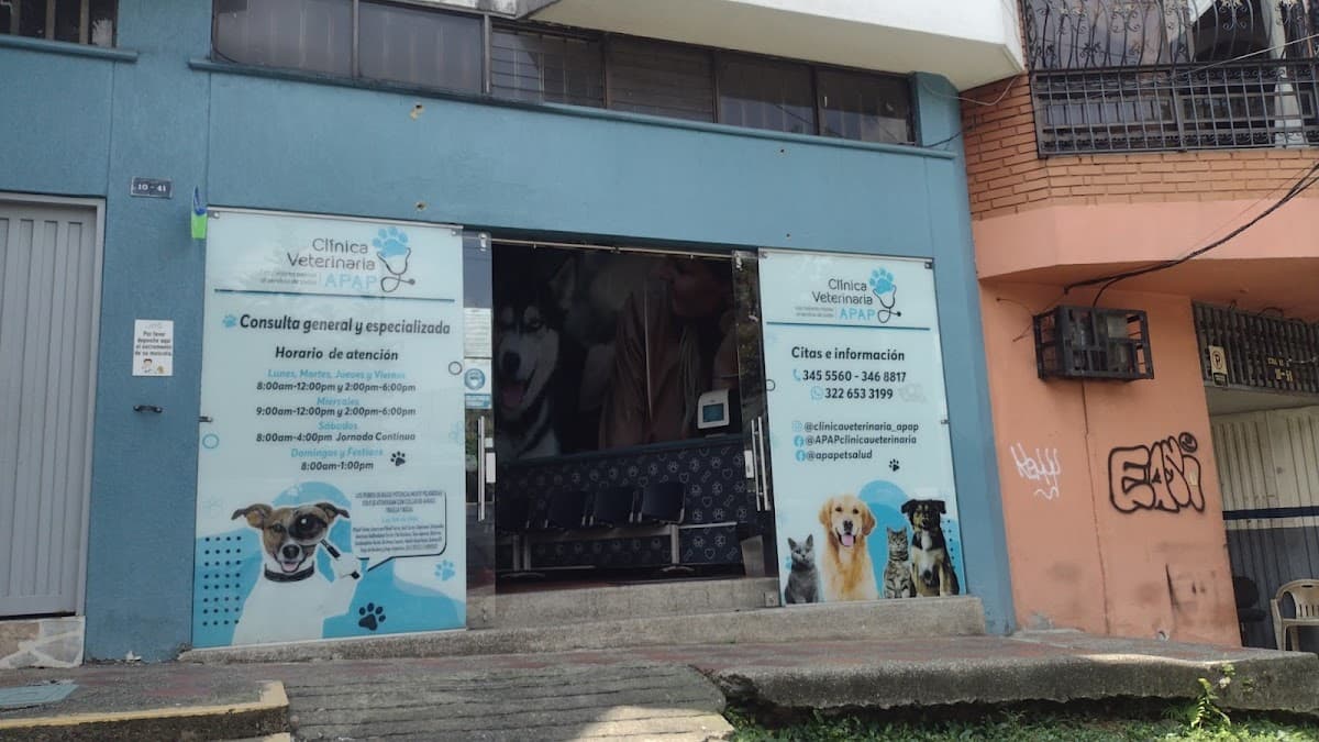 CLÍNICA VETERINARIA APAP — foto