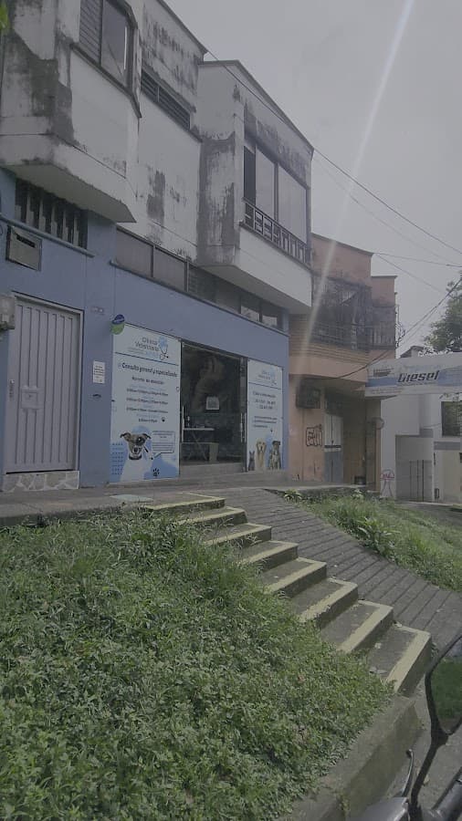 CLÍNICA VETERINARIA APAP — foto