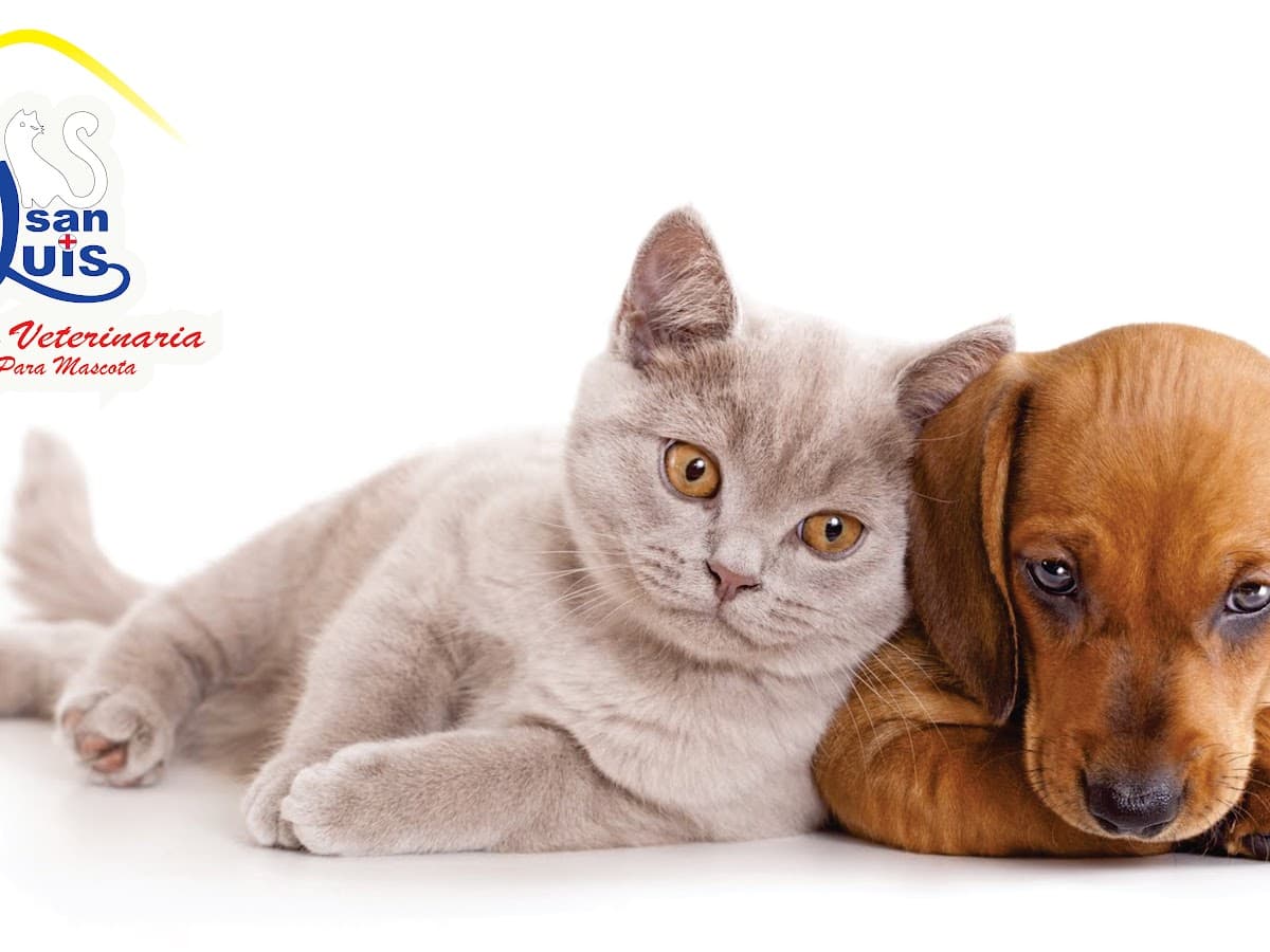 Veterinaria San Luis
