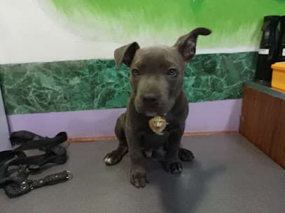 Consultorio Veterinario Unimascotas — foto