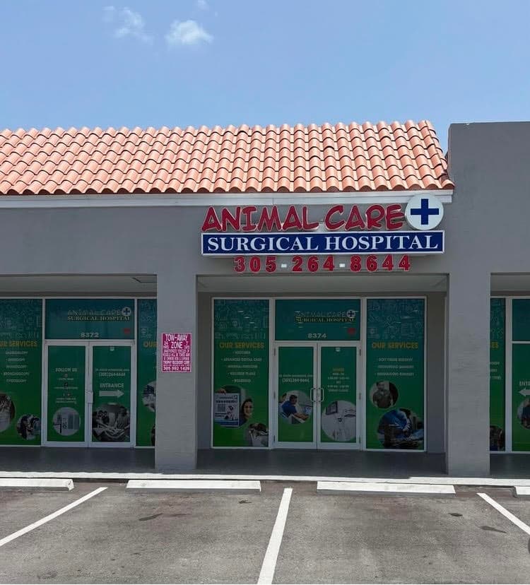 Animal Care & Surgical Hospital
