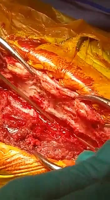 Animal Care & Surgical Hospital — foto