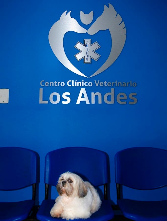 Centro Clínico Veterinario los Andes — foto