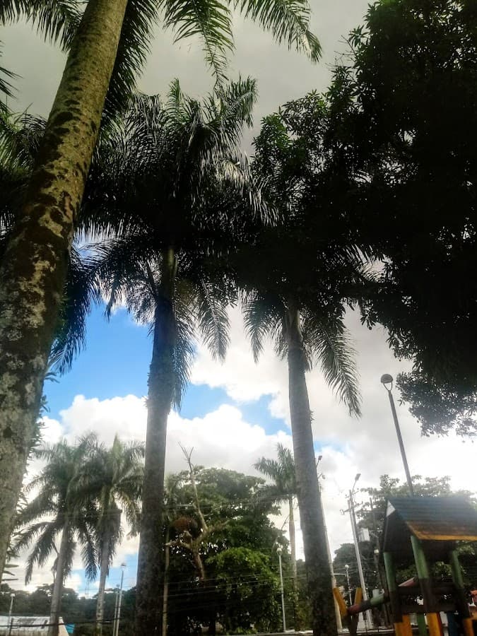 Cuatro Parques — foto