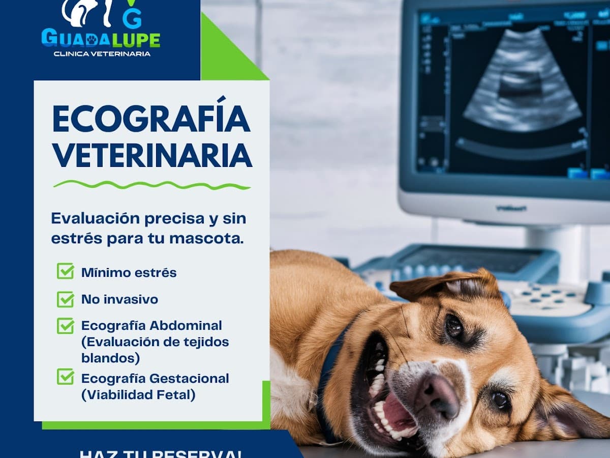 Clínica Veterinaria Umevet — foto