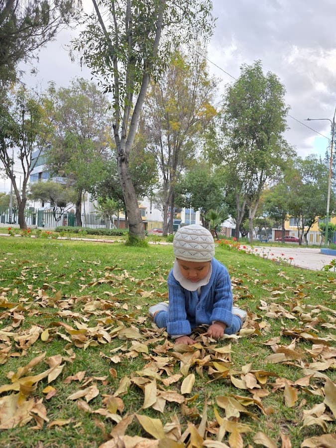 Parque Urbanizacion Bancarios — foto