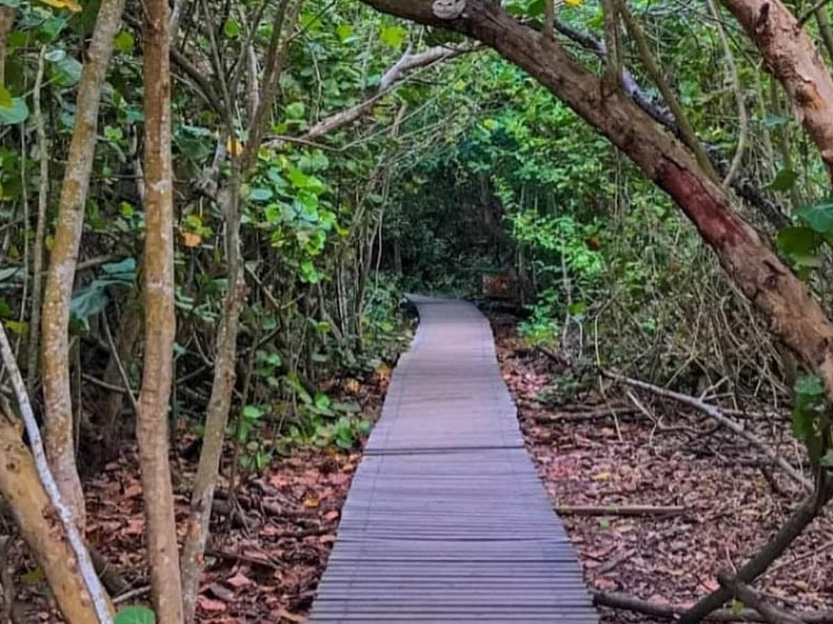 AVIATUR Santa Marta - Centro — foto