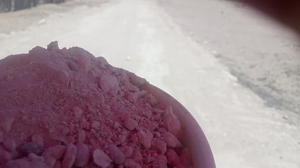 Complejo Arqueologico de Chusis — foto