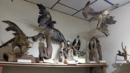 Museo de Historia Natural Manizales