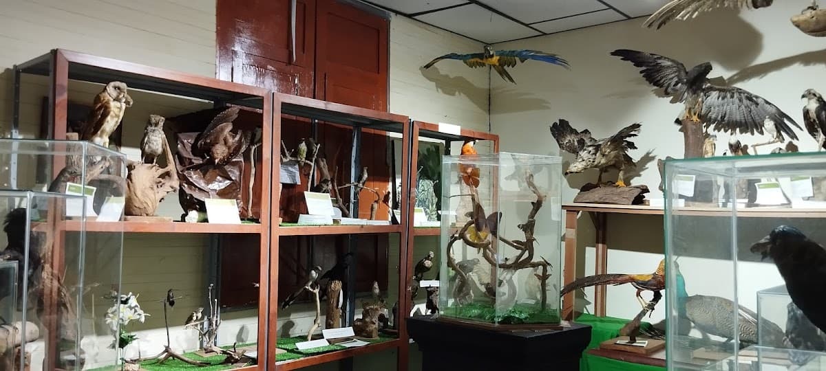 Museo de Historia Natural Manizales — foto