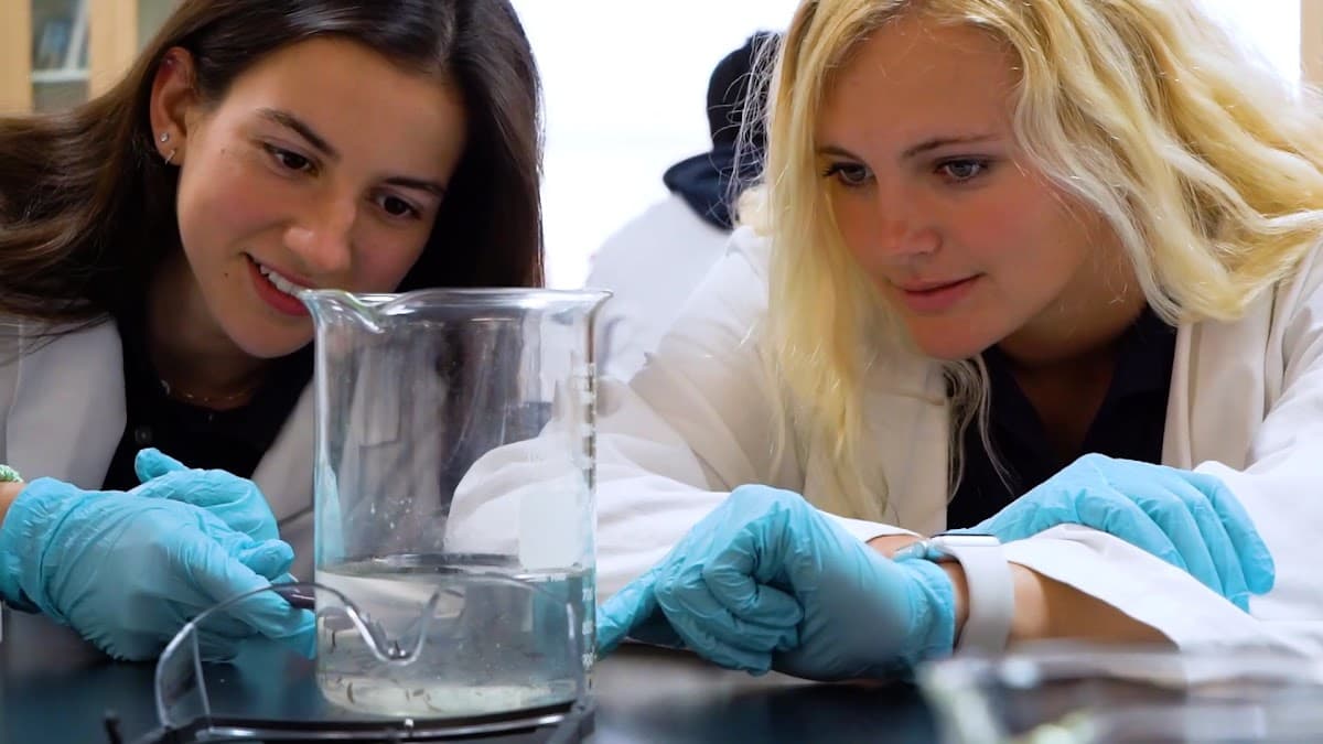 Oxbridge Academy — foto