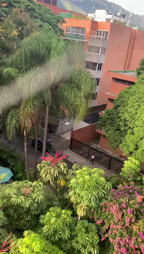 Family Room In Caracas