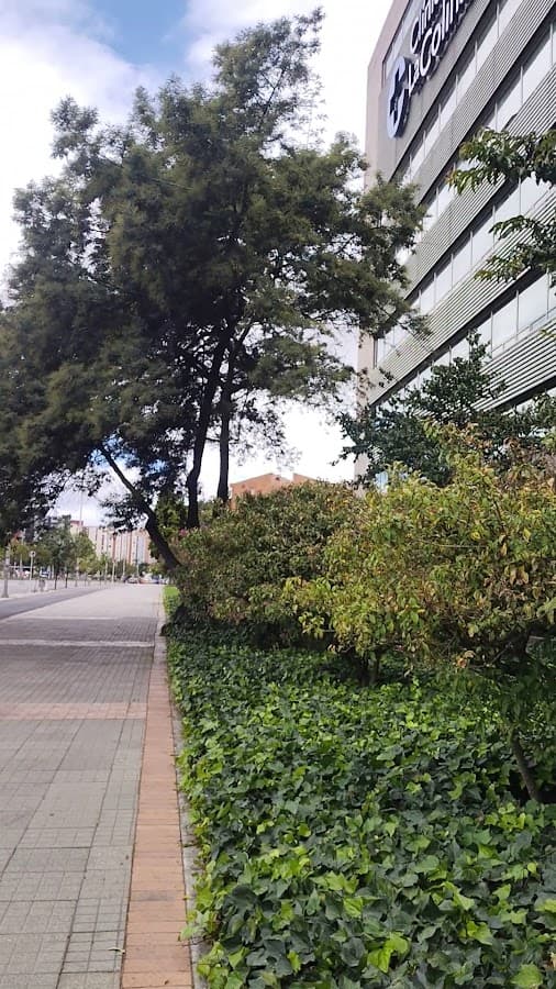 Clínica La Colina — foto
