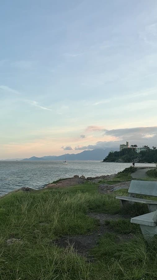 Parque dos cachorros — foto