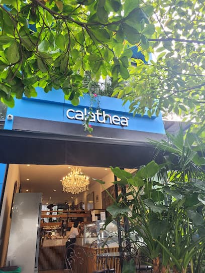 Calathea — foto