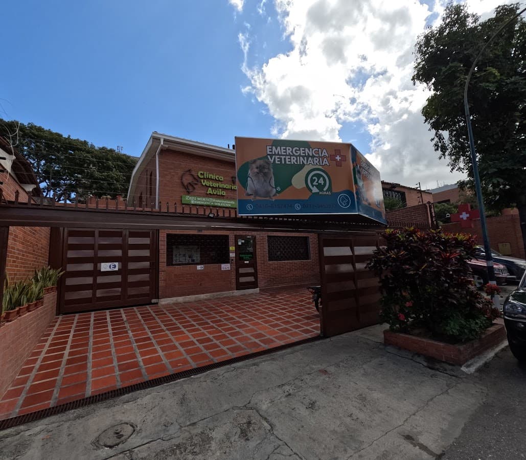 Clinica Veterinaria Avila