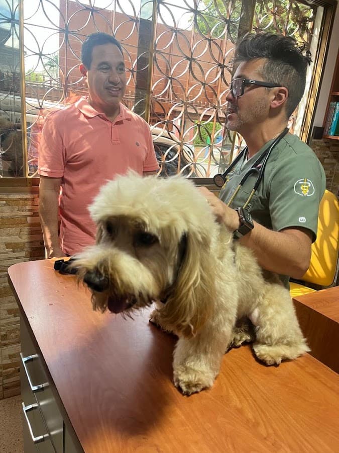 Clinica Veterinaria Avila — foto