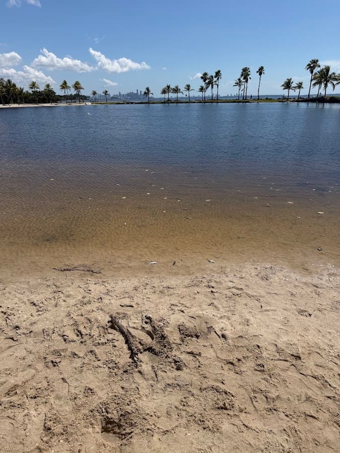 Parque Matheson Hammock — foto