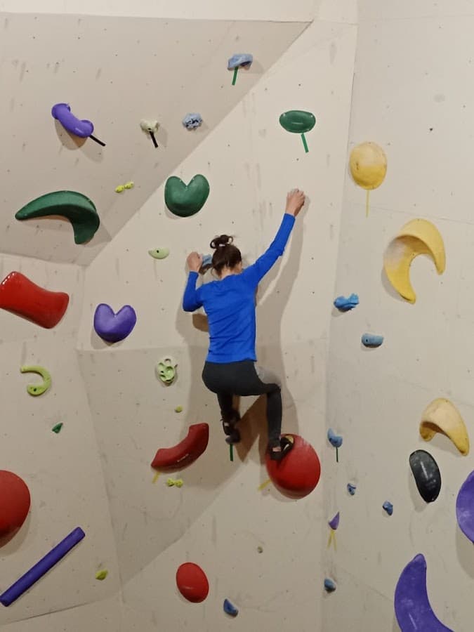 Llama Climber — foto